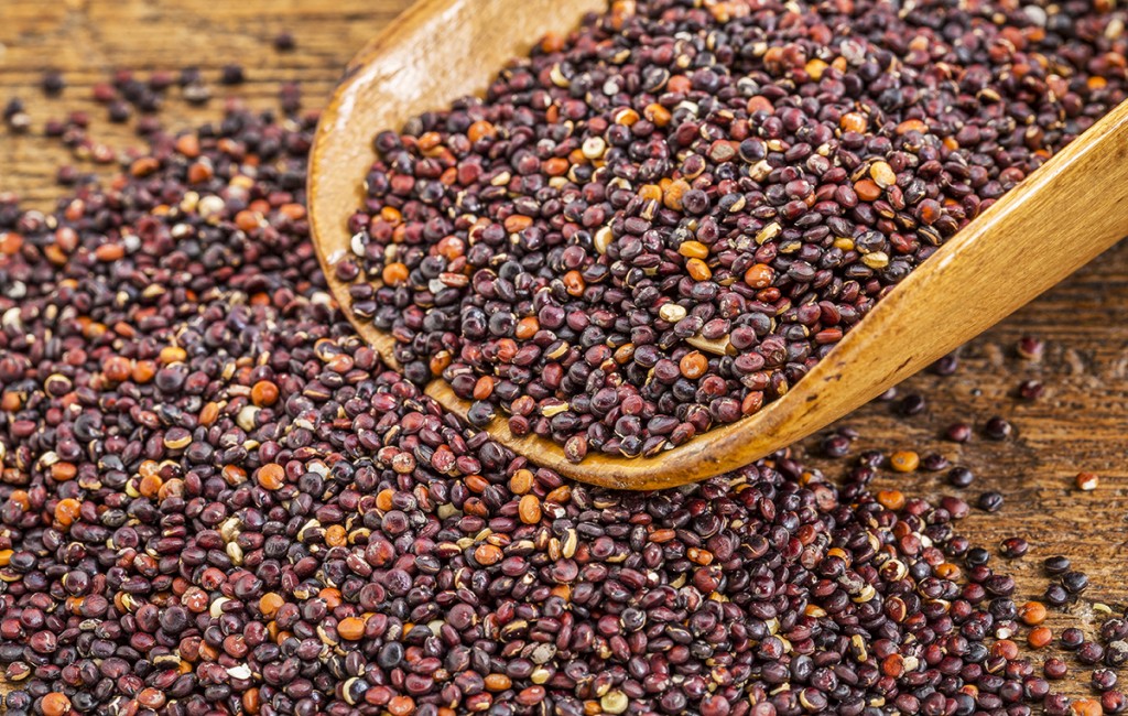 La quinoa: l’àvia es posa de moda