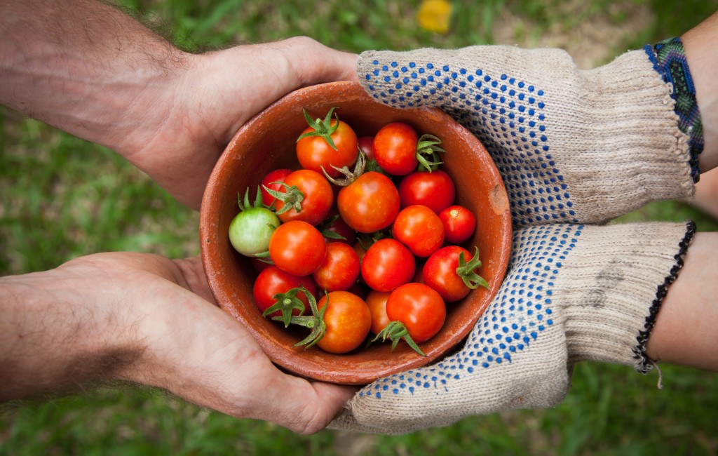 Els aliments no estan de rebaixes