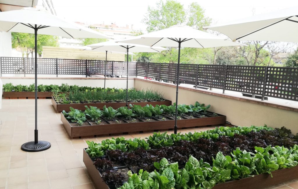 Coneixem l’hort de Ca l’Arpellot