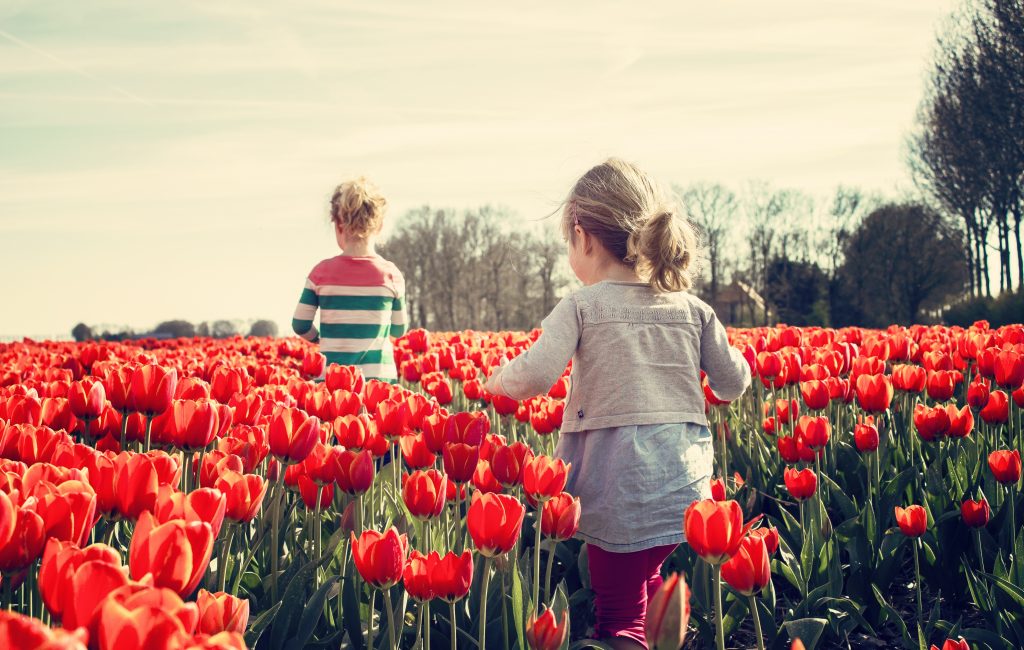 10 aliments indispensables durant la primavera