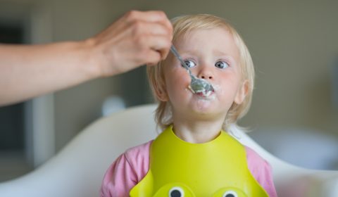 L’alimentació per a nadons 100% ecològica és a Llobet