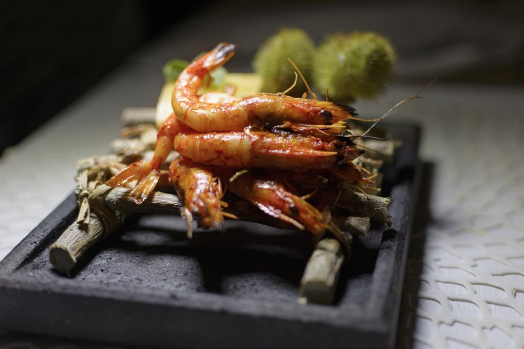 Navidad, gamba