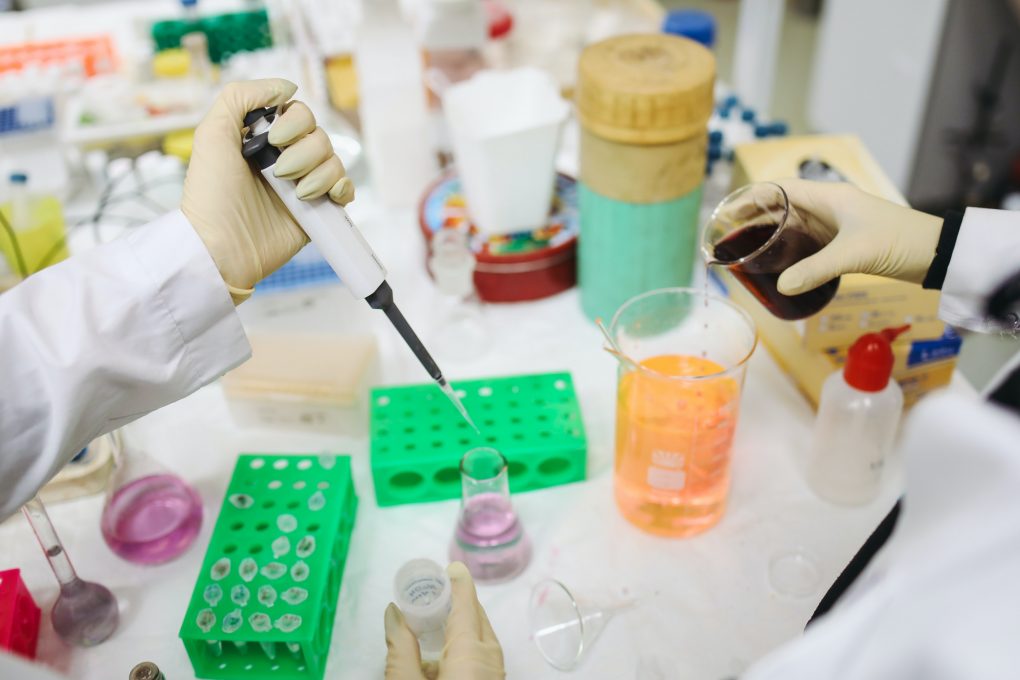 Química en els Aliments
