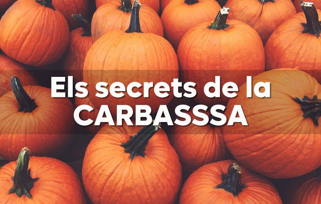 La carbassa: un tresor de nutrients i creativitat culinària