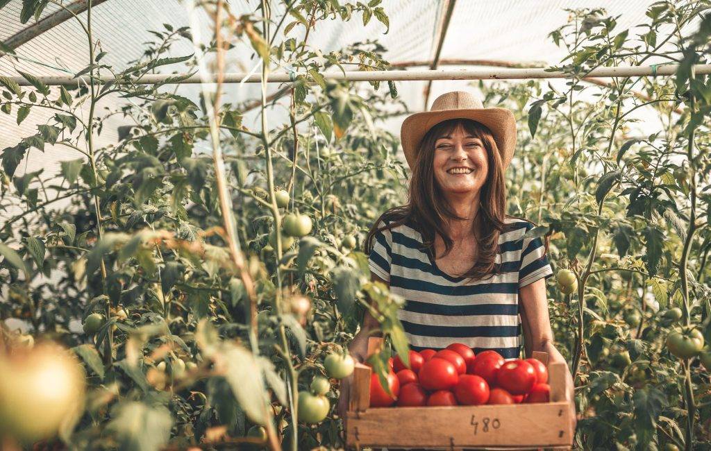 De l’hort al plat: com es menjava abans i què hem perdut pel camí